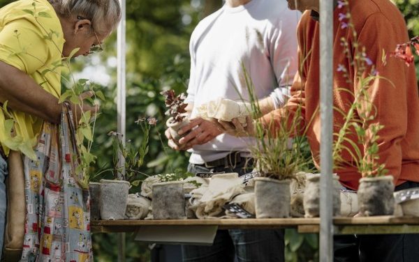 Tweede editie van de Ambachtelijke Plantenmarkt