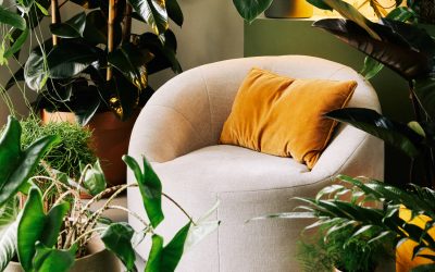 Planten zijn onmisbaar in hedendaags interieur