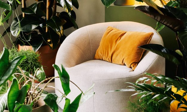 Planten zijn onmisbaar in hedendaags interieur