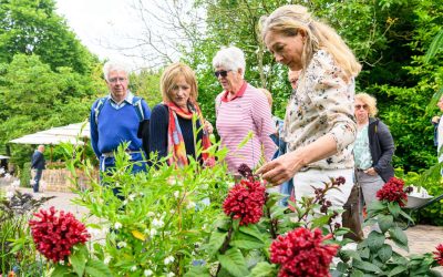 Bloemenpark Appeltern organiseert Tuingeluk met Planten