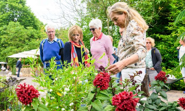 Bloemenpark Appeltern organiseert Tuingeluk met Planten