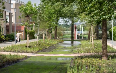 Alkmaar naar Green Cities Award