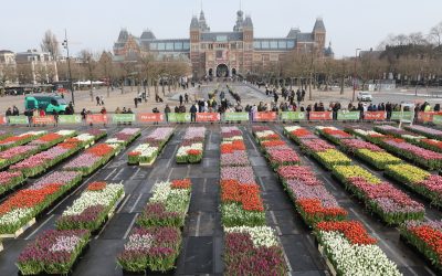 Nationale Tulpendag in teken van Amsterdam750