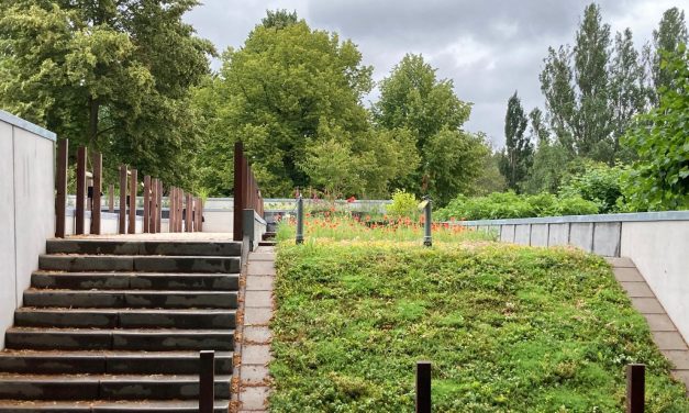 Onderwijsdak voor groene gevels en daken
