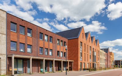 Steeds minder groen in grote en middelgrote steden