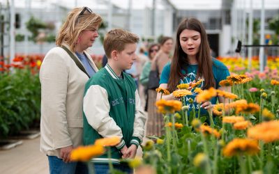 Nederlandse kassen openen hun deuren tijdens Kom in de Kas