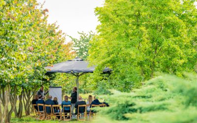Sprekers Nederlandse Boominfodag 2025 bekend
