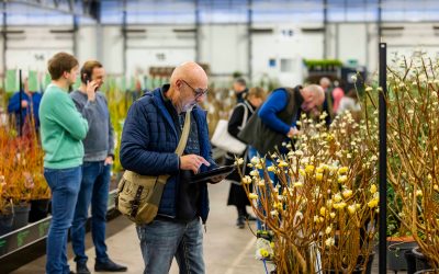 Ontdek het voorjaarsaanbod op PLANTARIUM|GROEN-Direkt
