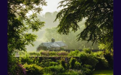 Een kijkje in de eigen tuin van topontwerpers