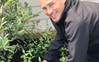 De Grote Tuinverbouwing en Plantion bundelen krachten