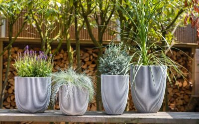 Made in Holland-collectie van Capi