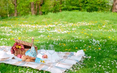 Advanta Ecogazon: biodivers bloemen- en kruidengazon