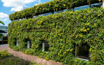 Met kant-en-klaar groen impact maken