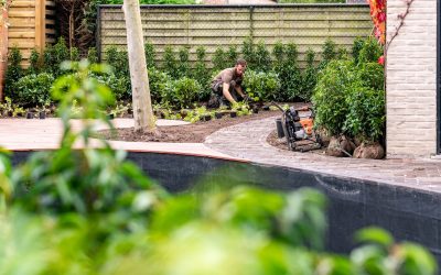 DCM introduceert nieuwe all-in-one bodemverbeteraar