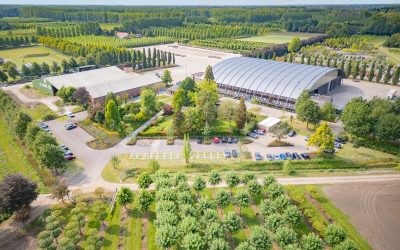 ‘Een boom wordt door de jaren heen steeds waardevoller’