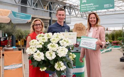 Hydrangea macrophylla wint Green Retail Award Beste Nieuwigheid
