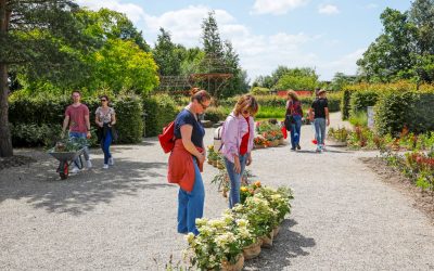 Plantenprimeurs op het Appeltern Plantenfestijn