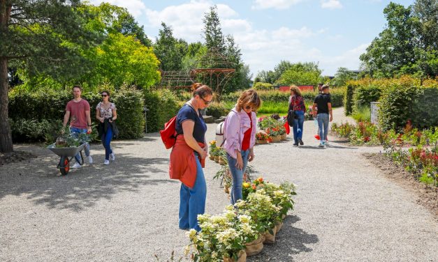 Plantenprimeurs op het Appeltern Plantenfestijn