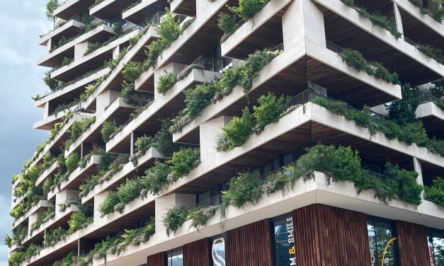 Wonderwoods: met rope access een verticaal bos onderhouden