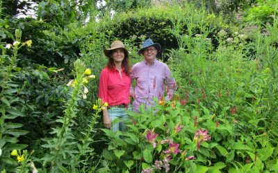 Nieuw: Leve de Tuin Festival