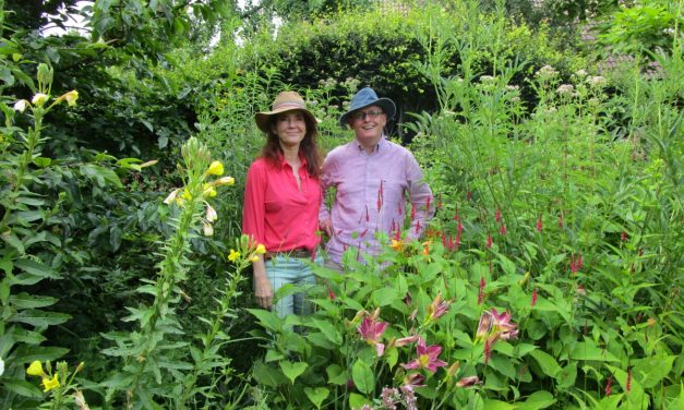 Nieuw: Leve de Tuin Festival