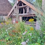 ‘Het groen in Archeon is historisch correct, natuurlijk en biodivers’