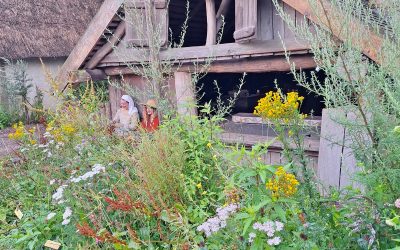 ‘Het groen in Archeon is historisch correct, natuurlijk en biodivers’