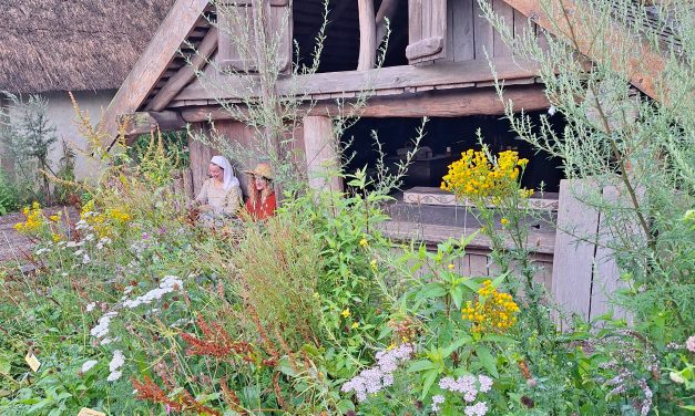 ‘Het groen in Archeon is historisch correct, natuurlijk en biodivers’
