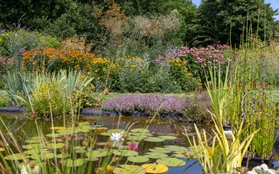 ‘Begeleid kopers bij de inrichting van hun nieuwe tuin’