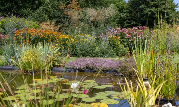 ‘Begeleid kopers bij de inrichting van hun nieuwe tuin’