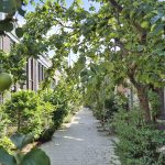‘Een groene tuin helpt gezondheidsproblemen voorkomen’