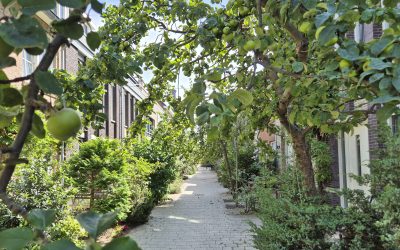 ‘Een groene tuin helpt gezondheidsproblemen voorkomen’