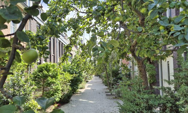 ‘Een groene tuin helpt gezondheidsproblemen voorkomen’