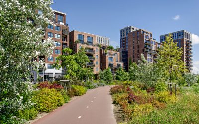 Koninklijke VHG reageert op Miljoenennota 2026:“Nog steeds te weinig ruimte en duidelijkheid voor een groene en gezonde leefomgeving”