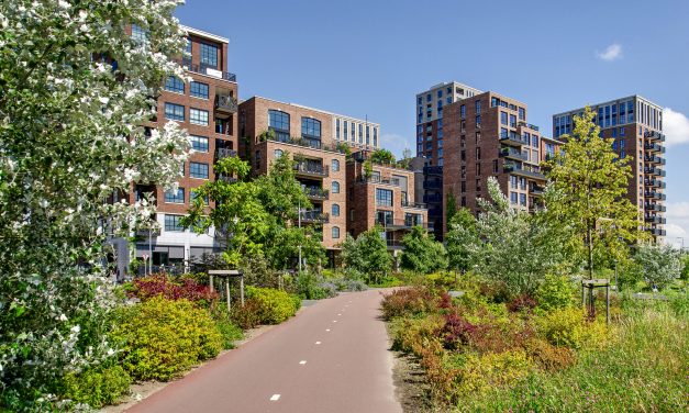 Koninklijke VHG reageert op Miljoenennota 2026:“Nog steeds te weinig ruimte en duidelijkheid voor een groene en gezonde leefomgeving”