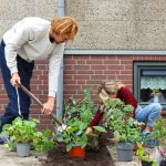 Herfst is hét moment voor tegelwippen