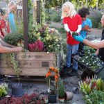 Nieuw educatief project van GreenBee Foundation van start