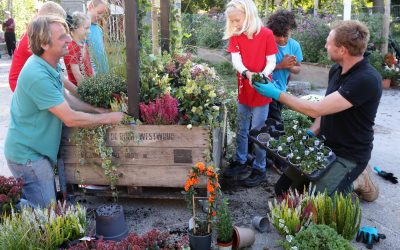 Nieuw educatief project van GreenBee Foundation van start