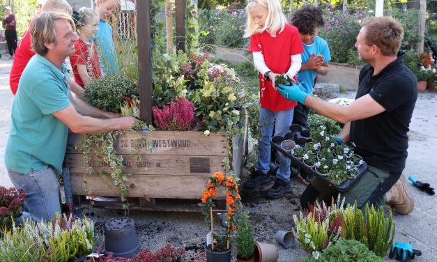 Nieuw educatief project van GreenBee Foundation van start