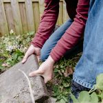 Nederland breekt record: 5,9 miljoen tegels eruit en groen erin