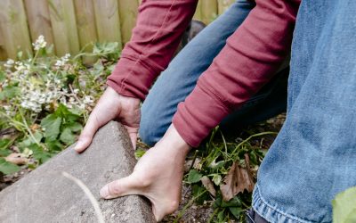 Nederland breekt record: 5,9 miljoen tegels eruit en groen erin