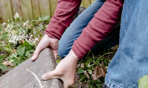 Nederland breekt record: 5,9 miljoen tegels eruit en groen erin