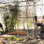 Finalisten Nationale Wedstrijd Hovenier 2026 bekend