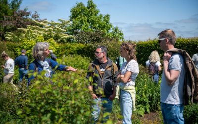‘Een tuinontwerper voegt een betekenislaag toe’