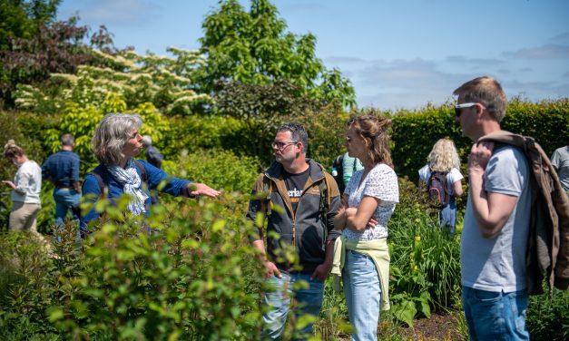 ‘Een tuinontwerper voegt een betekenislaag toe’