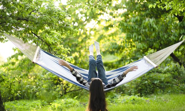 Veel belangstelling voor festival Leve de Tuin