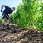 DCM start verkiezing Hovenier van het Jaar 2026