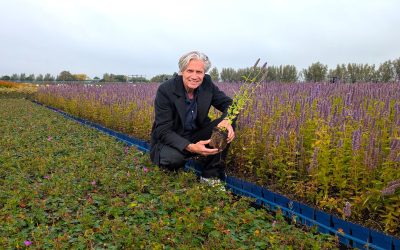 Nieuwe directeur Griffioen Wassenaar brengt brede groenervaring mee