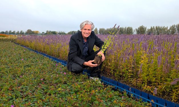 Nieuwe directeur Griffioen Wassenaar brengt brede groenervaring mee