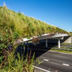 Nieuwe inzichten over de baten van groen in euro’s